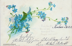 Grusskarte, Blüten, Vergissmeinicht, blau, 1902, Gedicht
