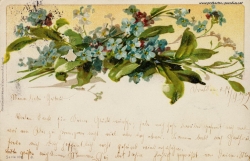 Grusskarte, Blumenstraß, Vergissmeinicht, 1902