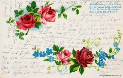 Grusskarte, Rosen, rot, Gedicht. 1906