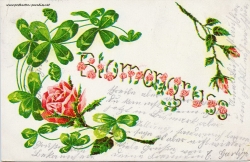 Grusskarte, Rose, Kleeblatt, Blumengruss, 1909